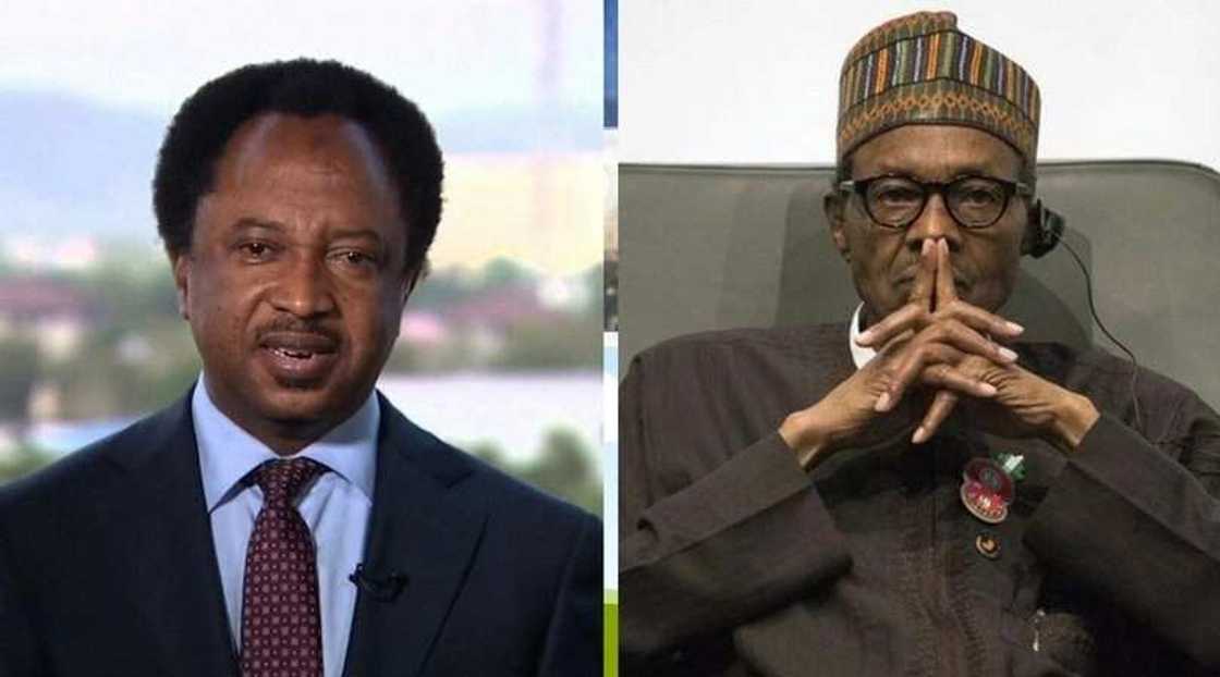 SGF giving Buhari's administration a bad name – Minister SGF giving Buhari's administration a bad name – Minister