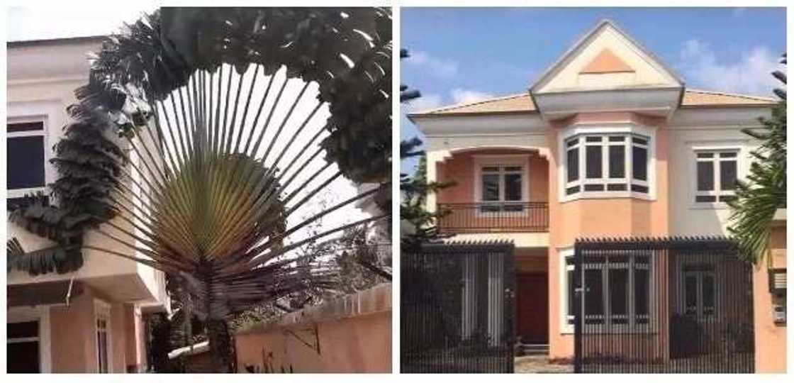 Nigerian singer Kiss Daniel shares lovely pictures of his new acquired home (pics) Nigerian singer Kiss Daniel shares lovely pictures of his new acquired home (pics)