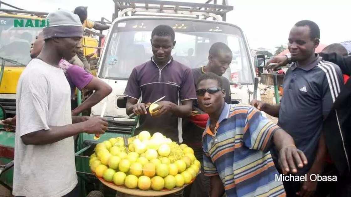 Mile 12 Market At A Glance Mile 12 Market At A Glance