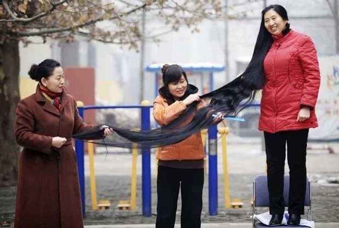 Longest hair in the world