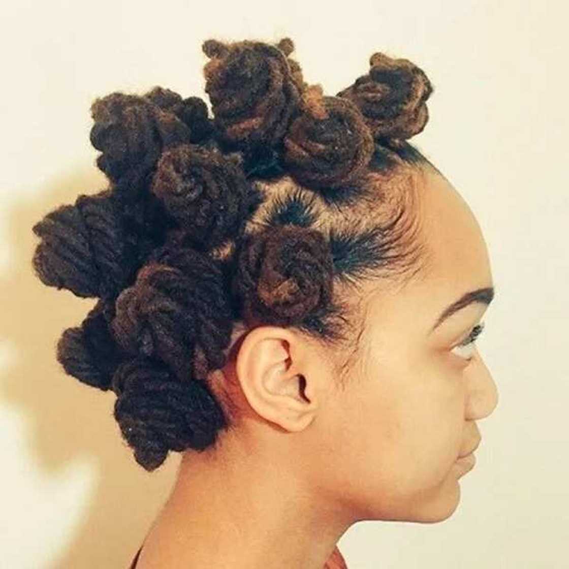 Dreadlock bantu knots