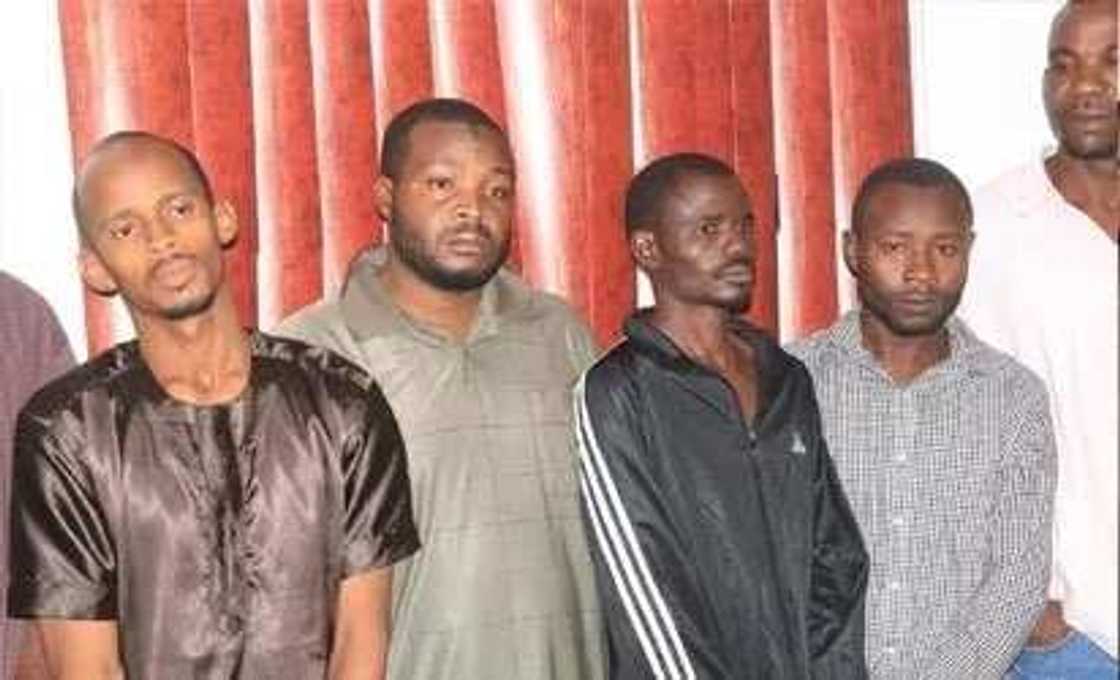Lagos state police arrest 19 pipeline vandals Lagos state police arrest 19 pipeline vandals