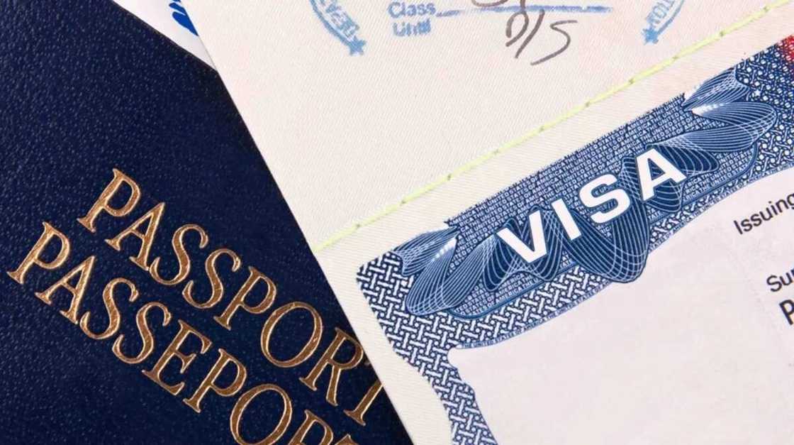 Passport and Visa