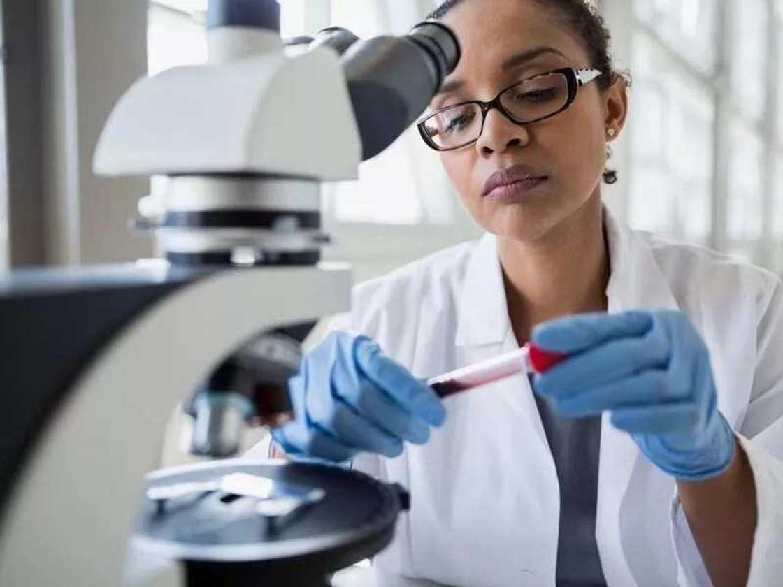 2. Biology 2. Biology