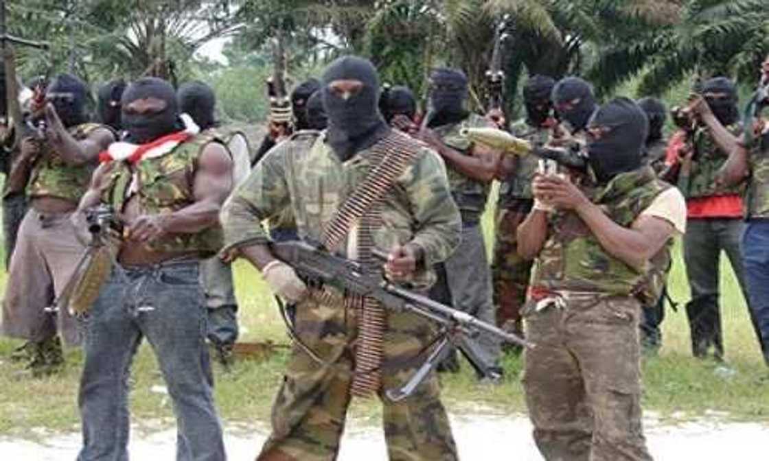 ND Avengers declare ceasefire and readiness to negotiate ND Avengers declare ceasefire and readiness to negotiate