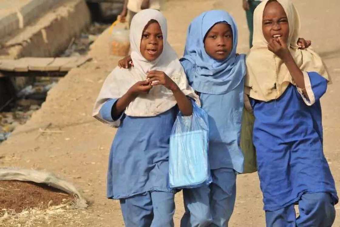 Nigerian schools Nigerian schools