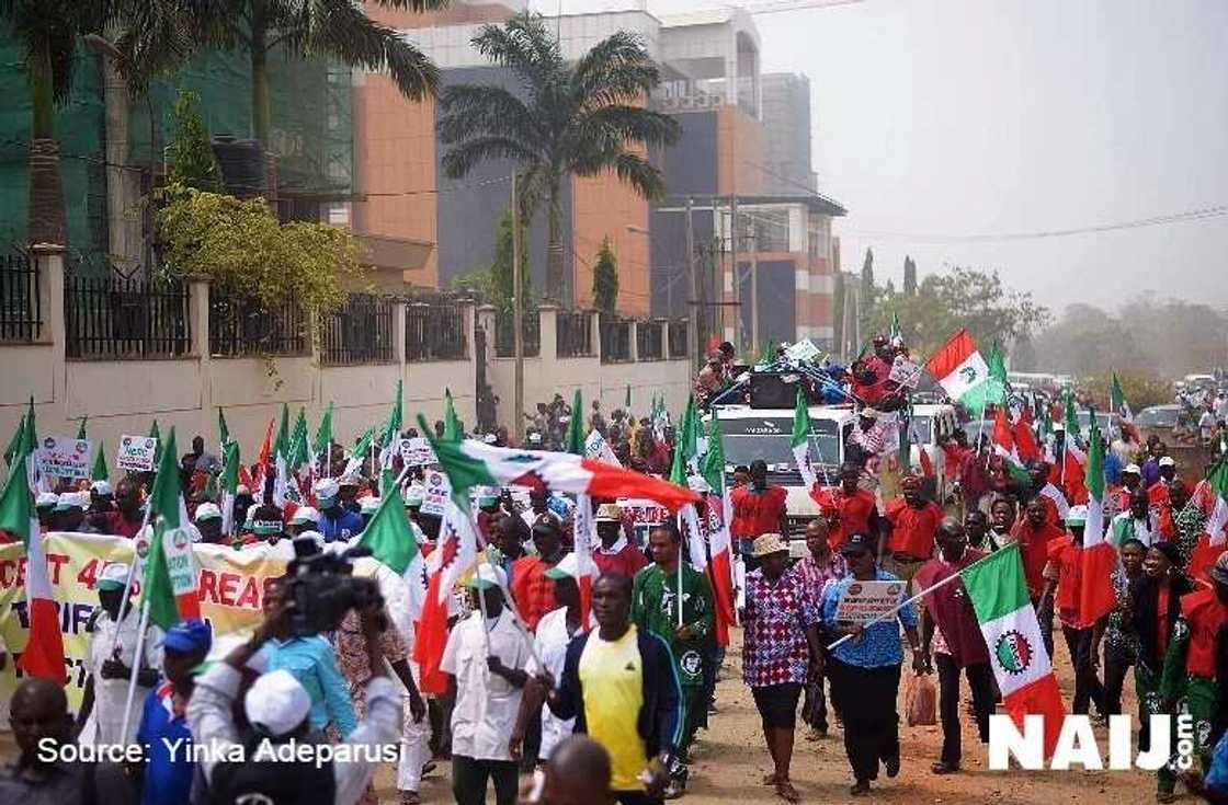 Ma’aikatan gwamnati sun fi ‘yan siyasa cin hanci da rashawa - Kwamitin Majalisar Dattijai