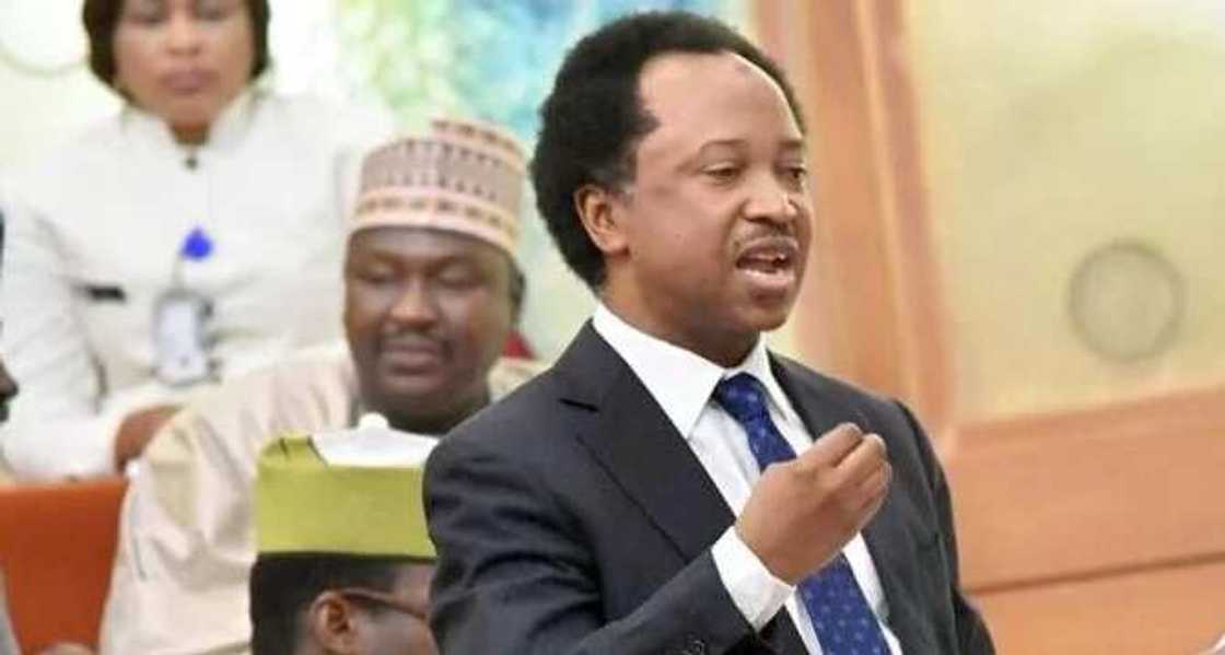 Sanata Shehu Sani ya mika kan sa ga hukumar 'yan sanda bisa zargin kisa Sanata Shehu Sani ya mika kan sa ga hukumar 'yan sanda bisa zargin kisa