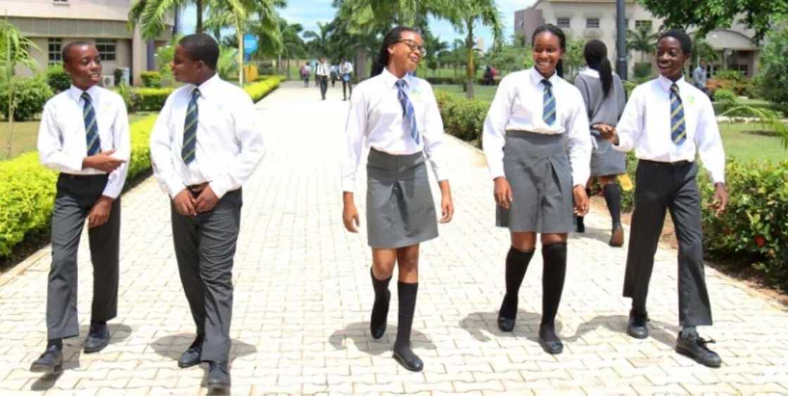 Day Waterman College fees Day Waterman College fees