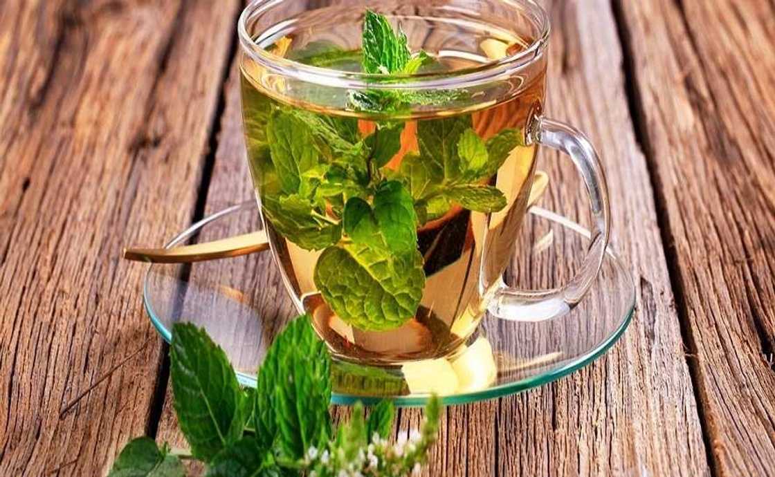 mint leaves mint leaves