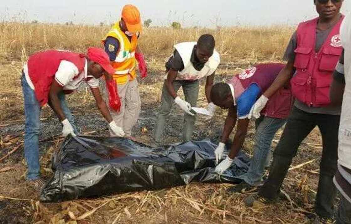 Boko Haram Launches Fresh Attack On Adamawa Boko Haram Launches Fresh Attack On Adamawa