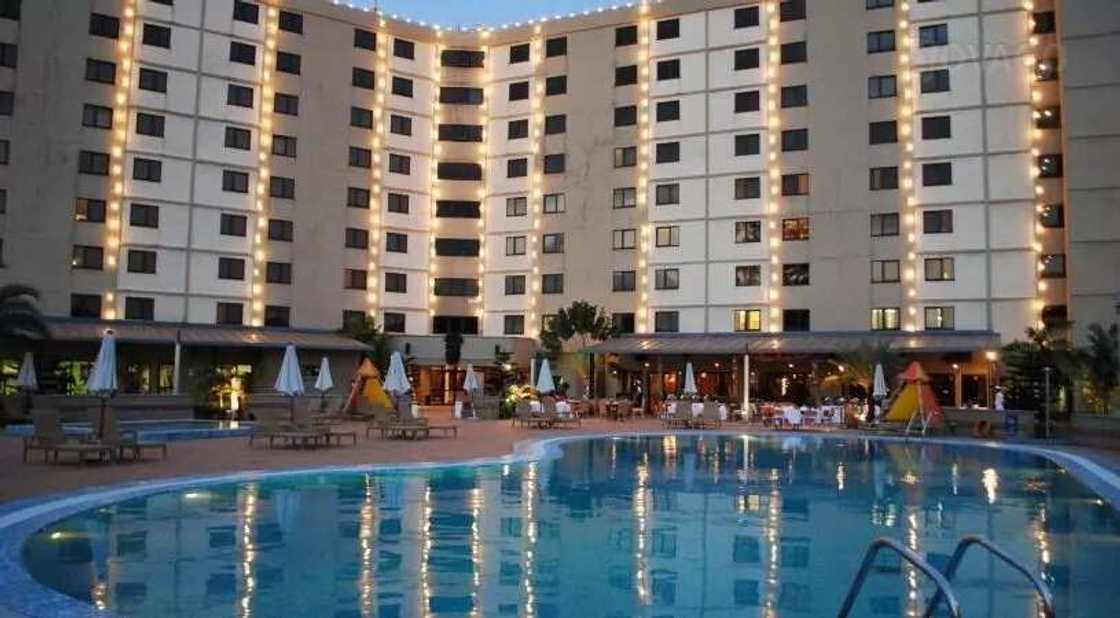 Golden Tulip Golden Tulip