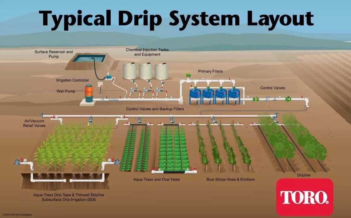 Irrigation farming in Nigeria DRIP