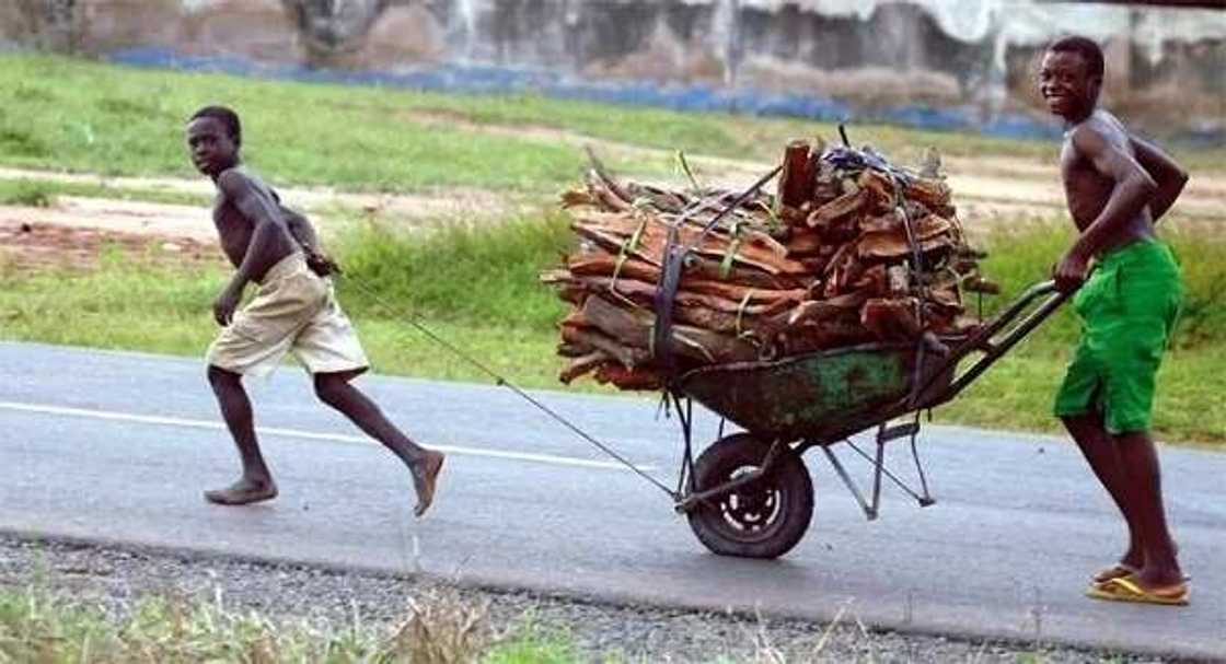 Child labour in Nigeria Child labour in Nigeria