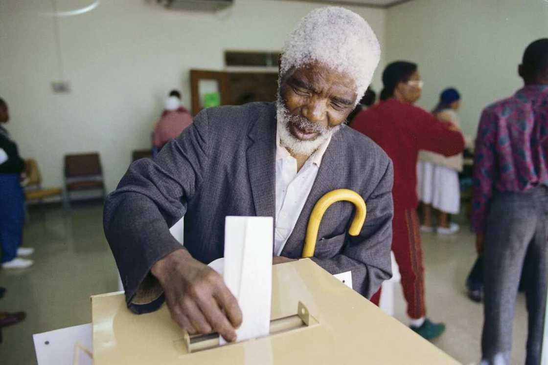 Old man voting Old man voting