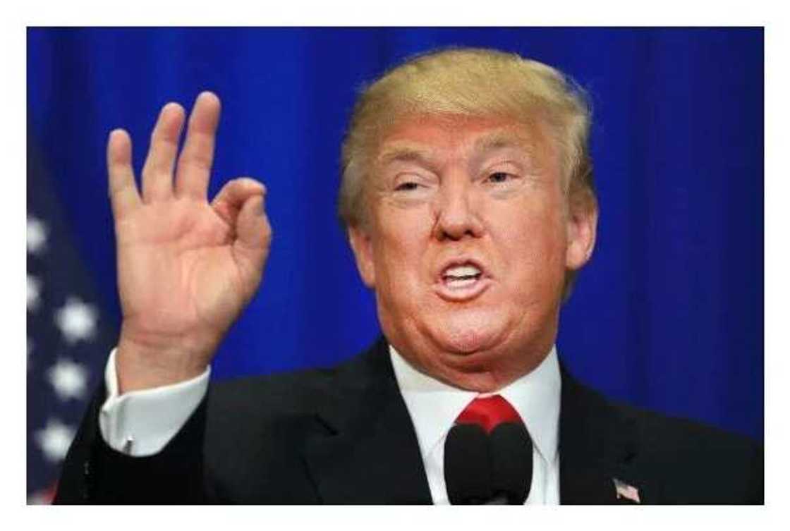 Donald Trump names son-in-law as White House senior adviser Donald Trump names son-in-law as White House senior adviser