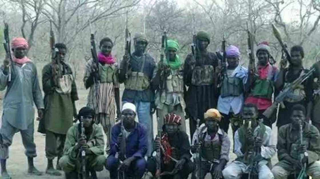 Boko Haram attacks Borno again, scores feared dead Boko Haram attacks Borno again, scores feared dead