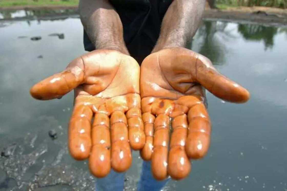 Ogoni Problems Ogoni Problems