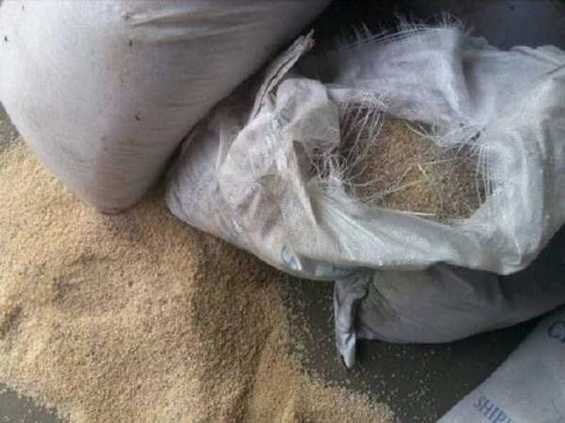 Shinkafar da China ta aiko wa 'yan gudun hijira ta rube a suto din NEMA, bayan sunki rabarwa Shinkafar da China ta aiko wa 'yan gudun hijira ta rube a suto din NEMA, bayan sunki rabarwa