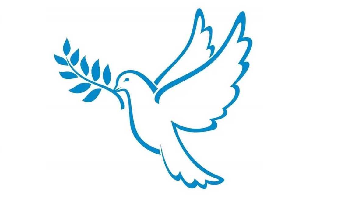 Dove peace symbol Dove peace symbol
