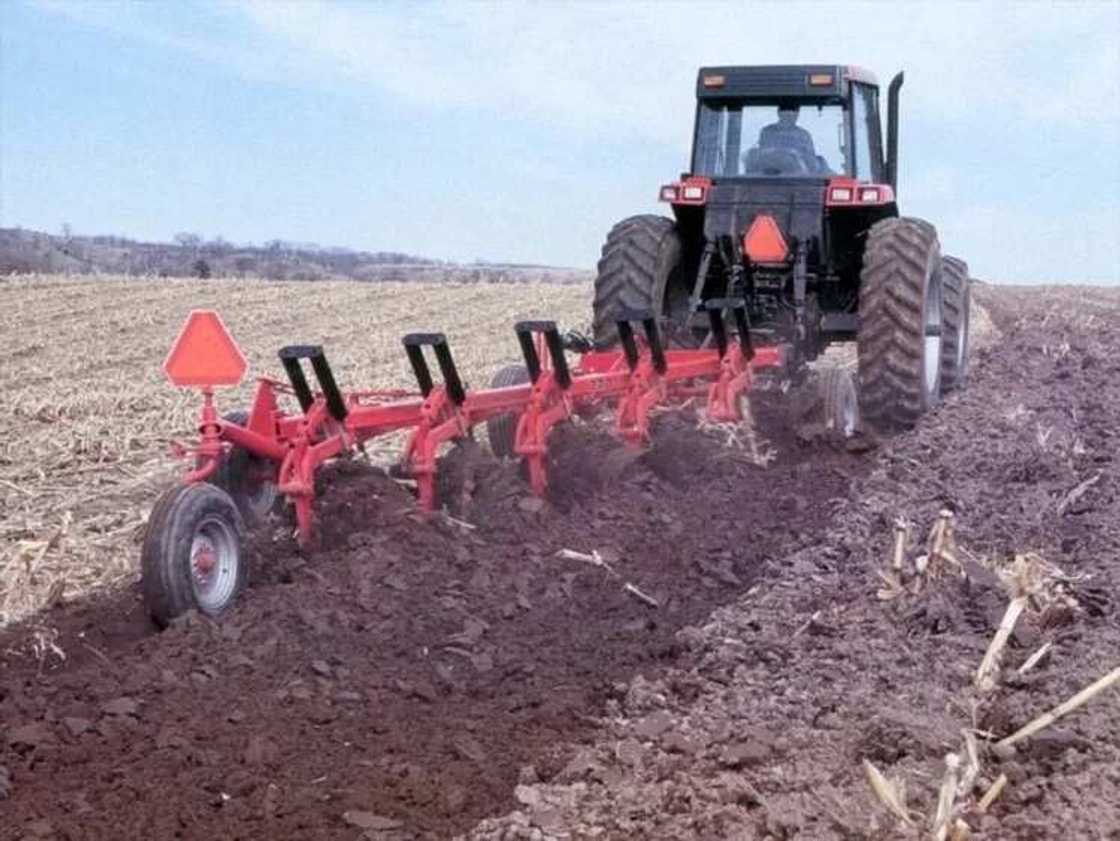 arable farming