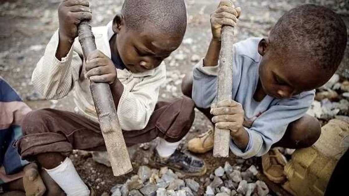 Child labour in Nigeria Child labour in Nigeria
