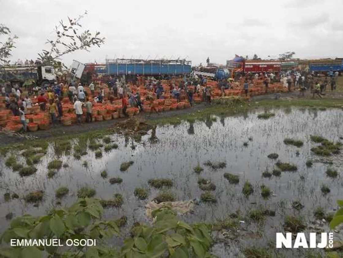Hausa traders relocate to unhealthy location after crisis Hausa traders relocate to unhealthy location after crisis