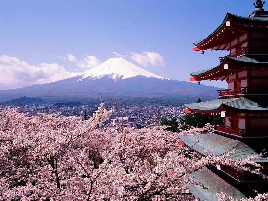 Kyoto Kyoto