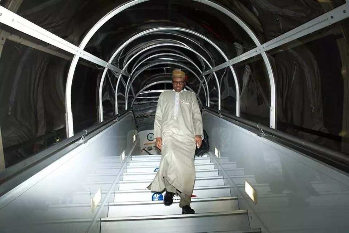 How Much Does One Trip Of Buhari Cost How Much Does One Trip Of Buhari Cost