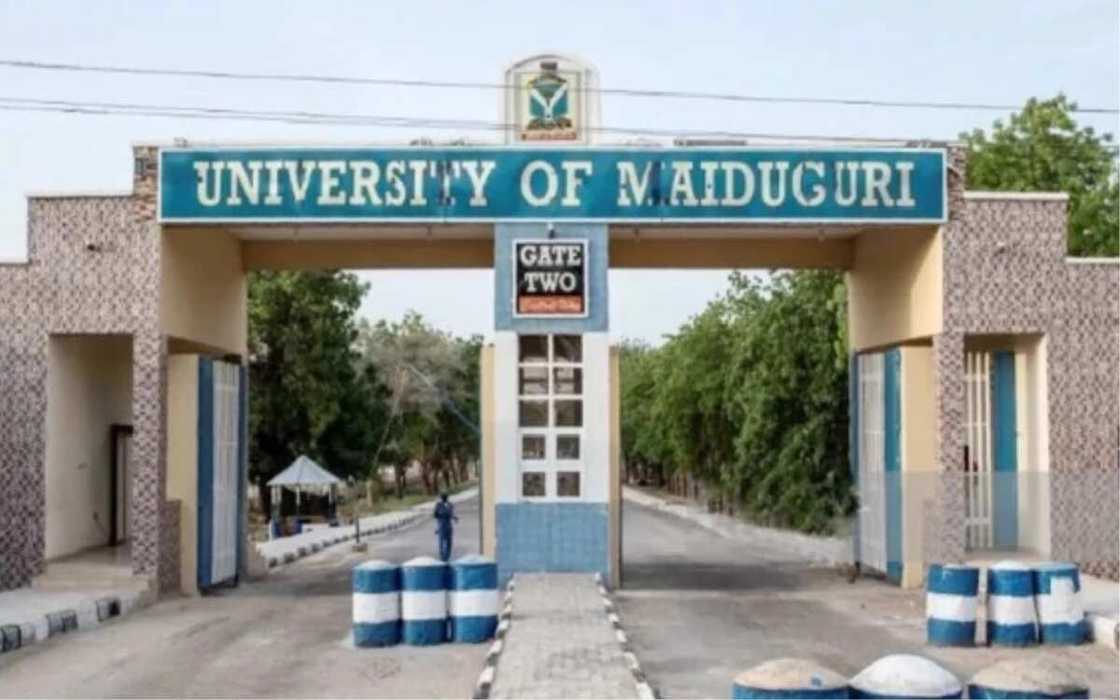 Boko Halas: Duk da ana Boko Haram, daliban jami'ar Maiduguri sun bada mamaki a bana Boko Halas: Duk da ana Boko Haram, daliban jami'ar Maiduguri sun bada mamaki a bana