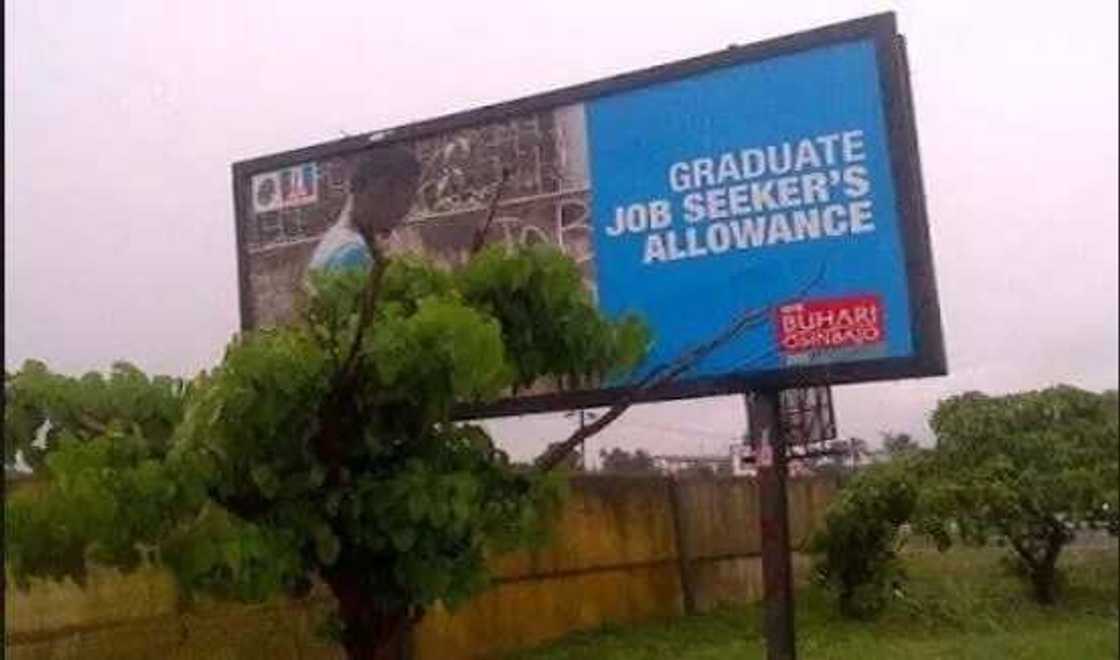 10 fantastically unbelievable campaign promises Buhari made 10 fantastically unbelievable campaign promises Buhari made