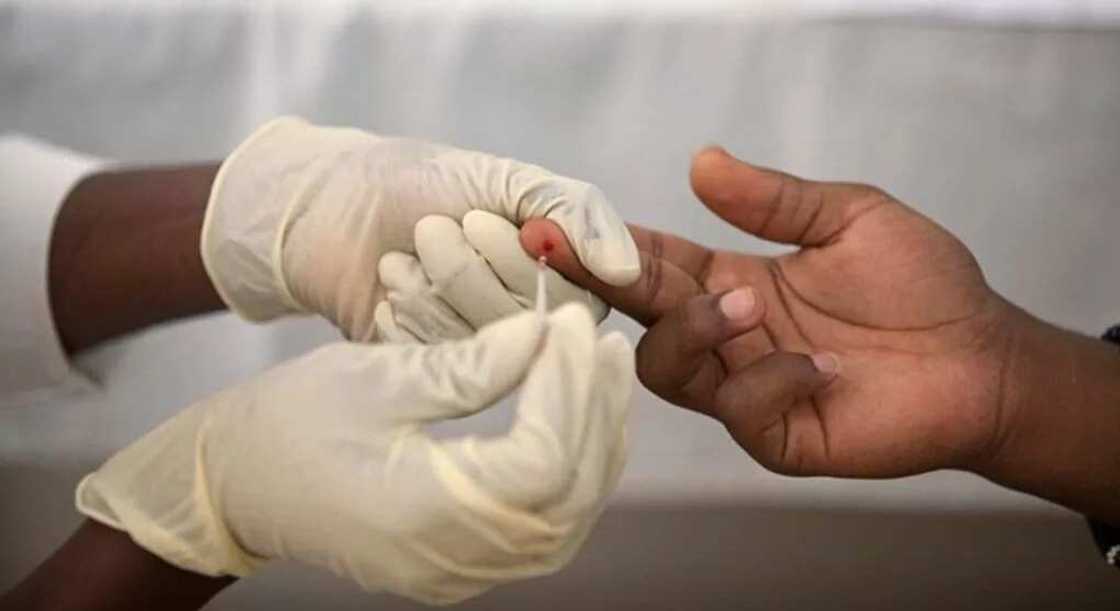 Wani sabon maganin zazzabin cizon sauro wanda ke kashe sauro idan yasha jinin mutum Wani sabon maganin zazzabin cizon sauro wanda ke kashe sauro idan yasha jinin mutum