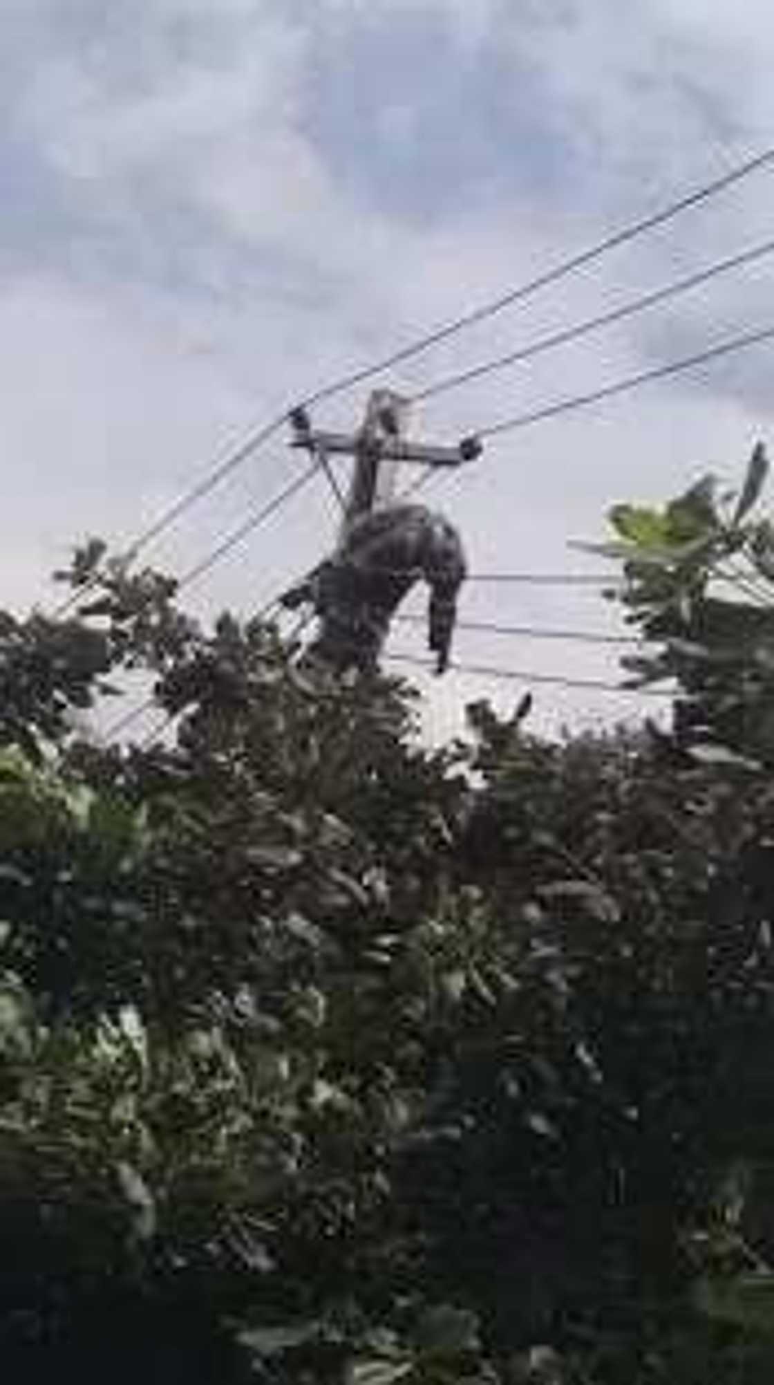 NEPA Staff Electrocuted While On Duty In Lagos (PHOTOS) NEPA Staff Electrocuted While On Duty In Lagos (PHOTOS)