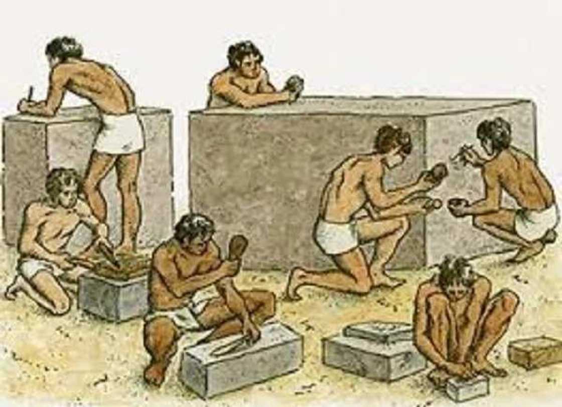 Tarihin yadda kasar Misra ta samu Dalar tsandauri Tarihin yadda kasar Misra ta samu Dalar tsandauri