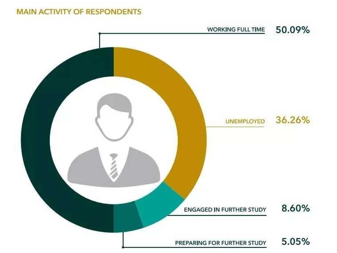 This chart shows the activity of the students after graduation This chart shows the activity of the students after graduation