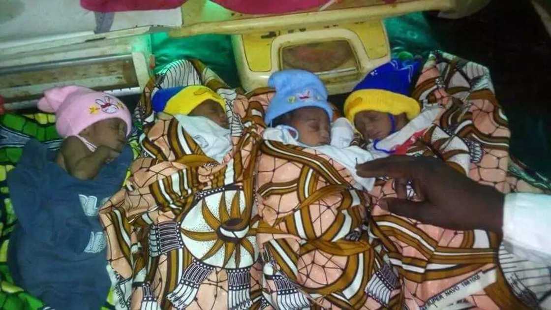 Wani Bawan Allah ya dauki nauyin kula da matar da ta haifi ‘Yan 4