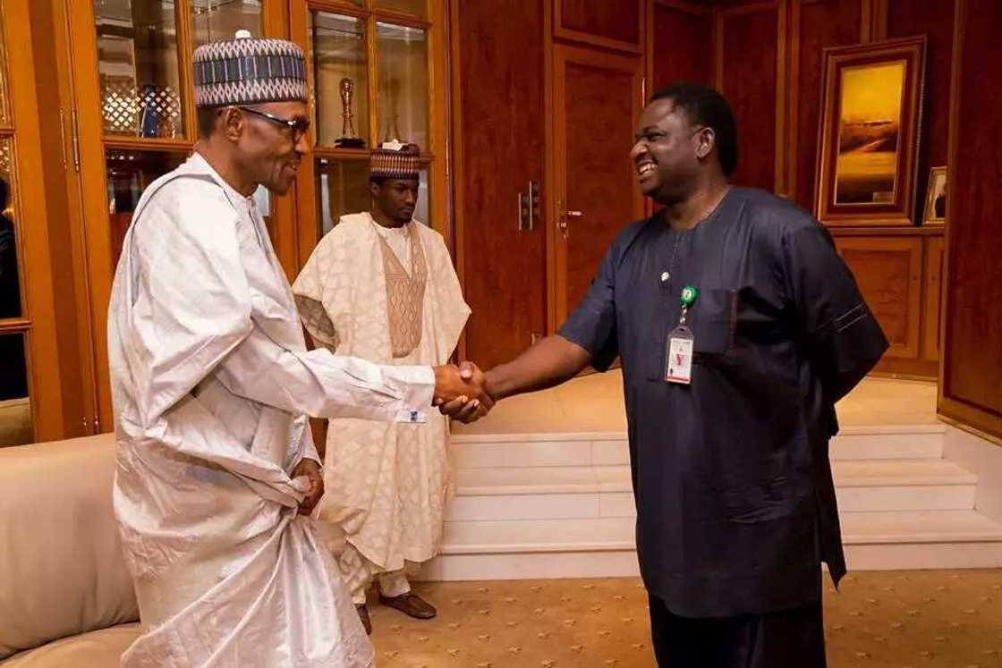 Femi Adesina and Buhari