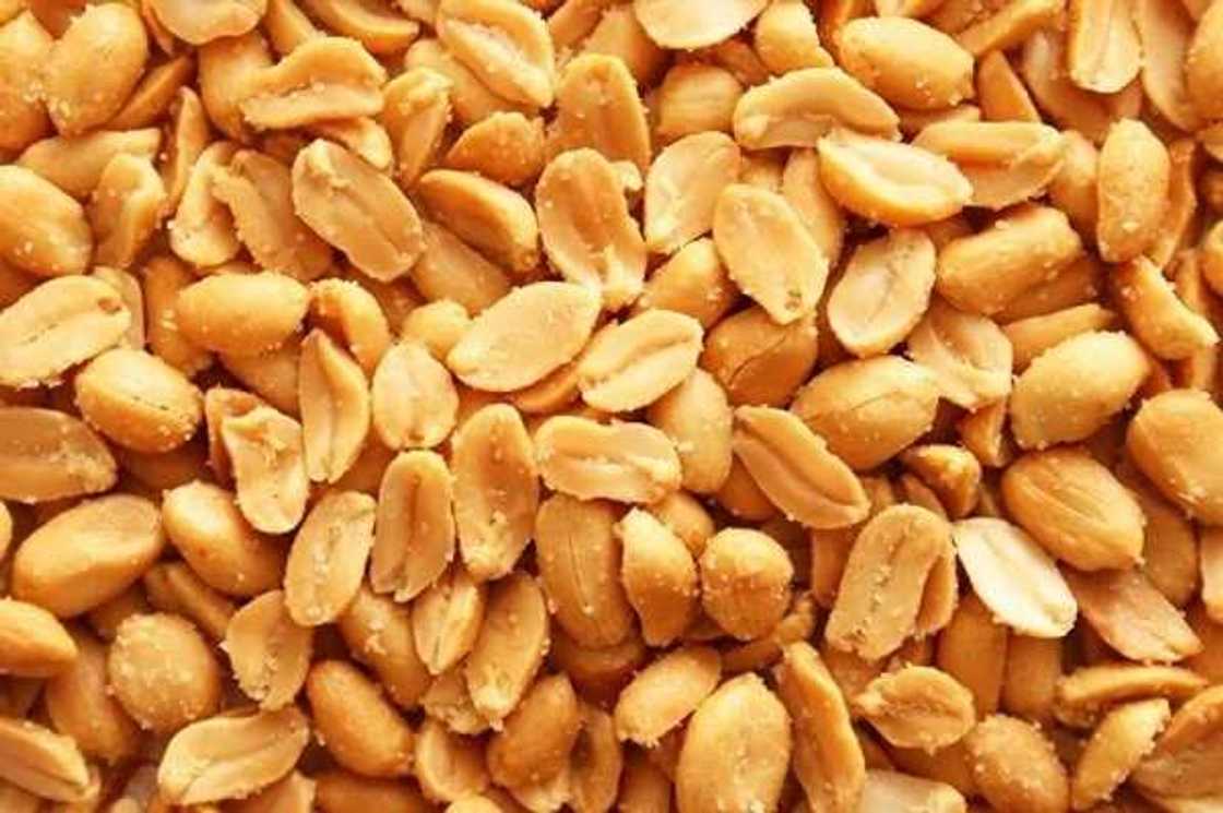 health benefits of groundnut health benefits of groundnut