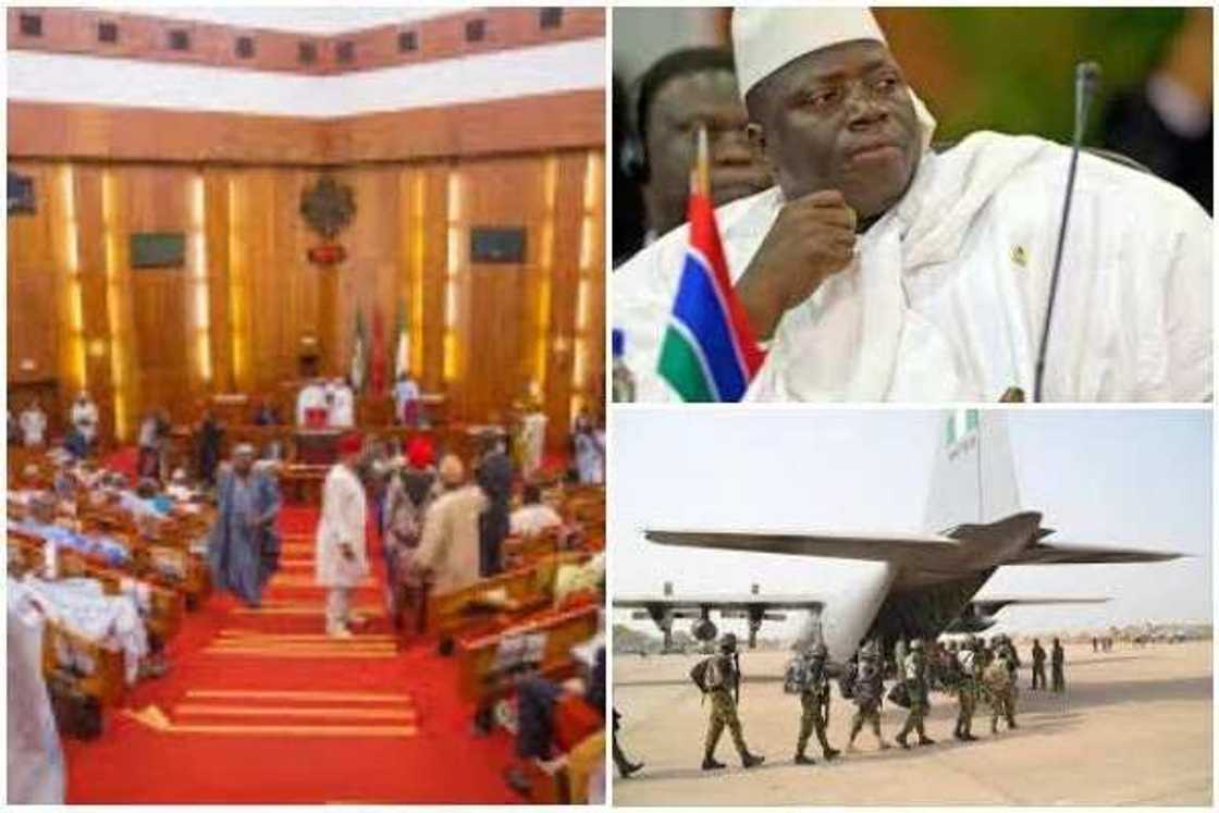 Senate questions deployment of troops to Gambia Senate questions deployment of troops to Gambia