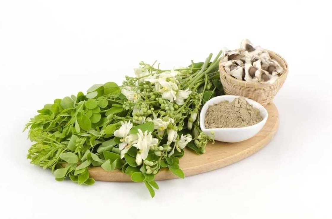 Benefits of moringa