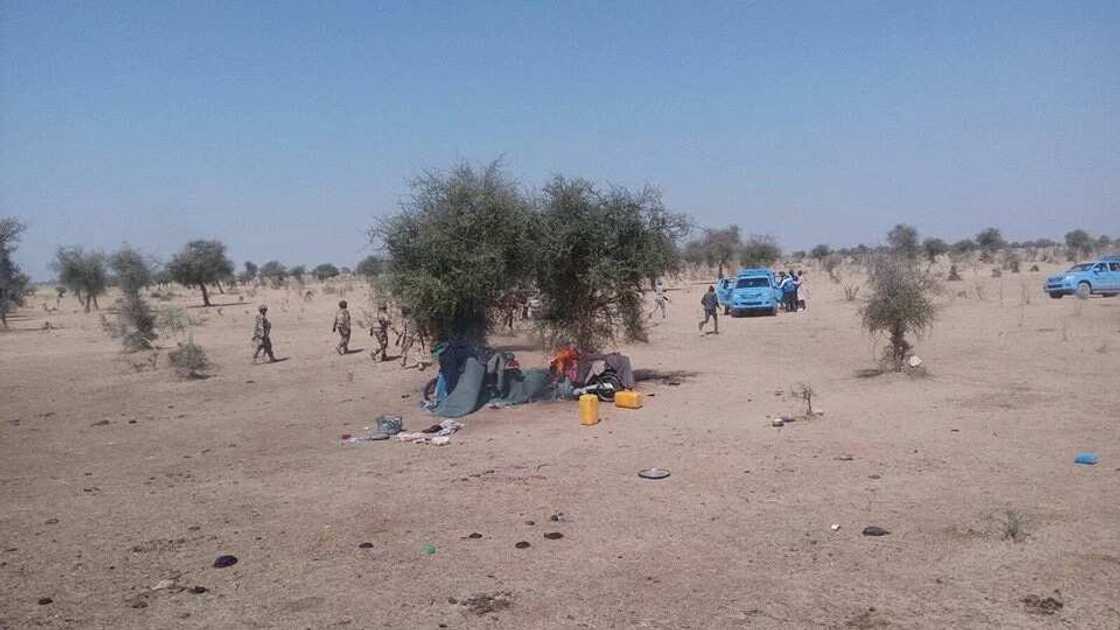 Boko Haram: Nigerian army rescues 500 people Boko Haram: Nigerian army rescues 500 people