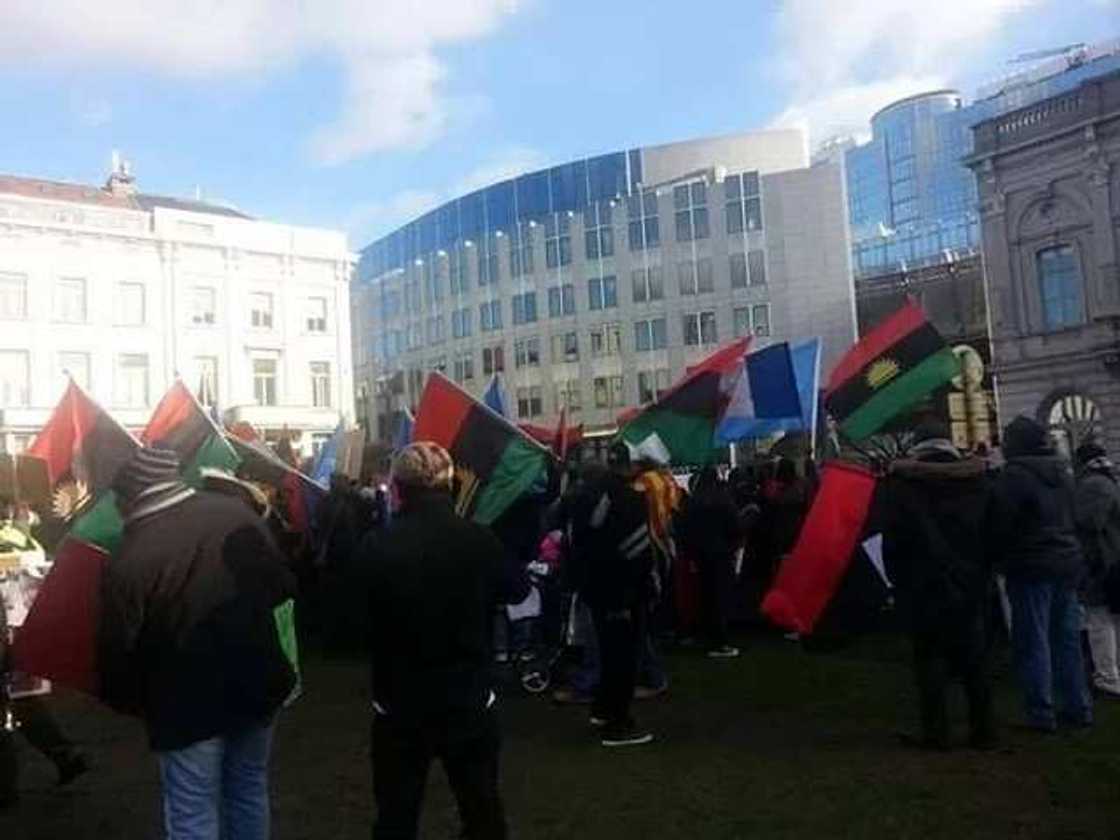 Biafrans across Europe storm EU parliament (photos/video) Biafrans across Europe storm EU parliament (photos/video)