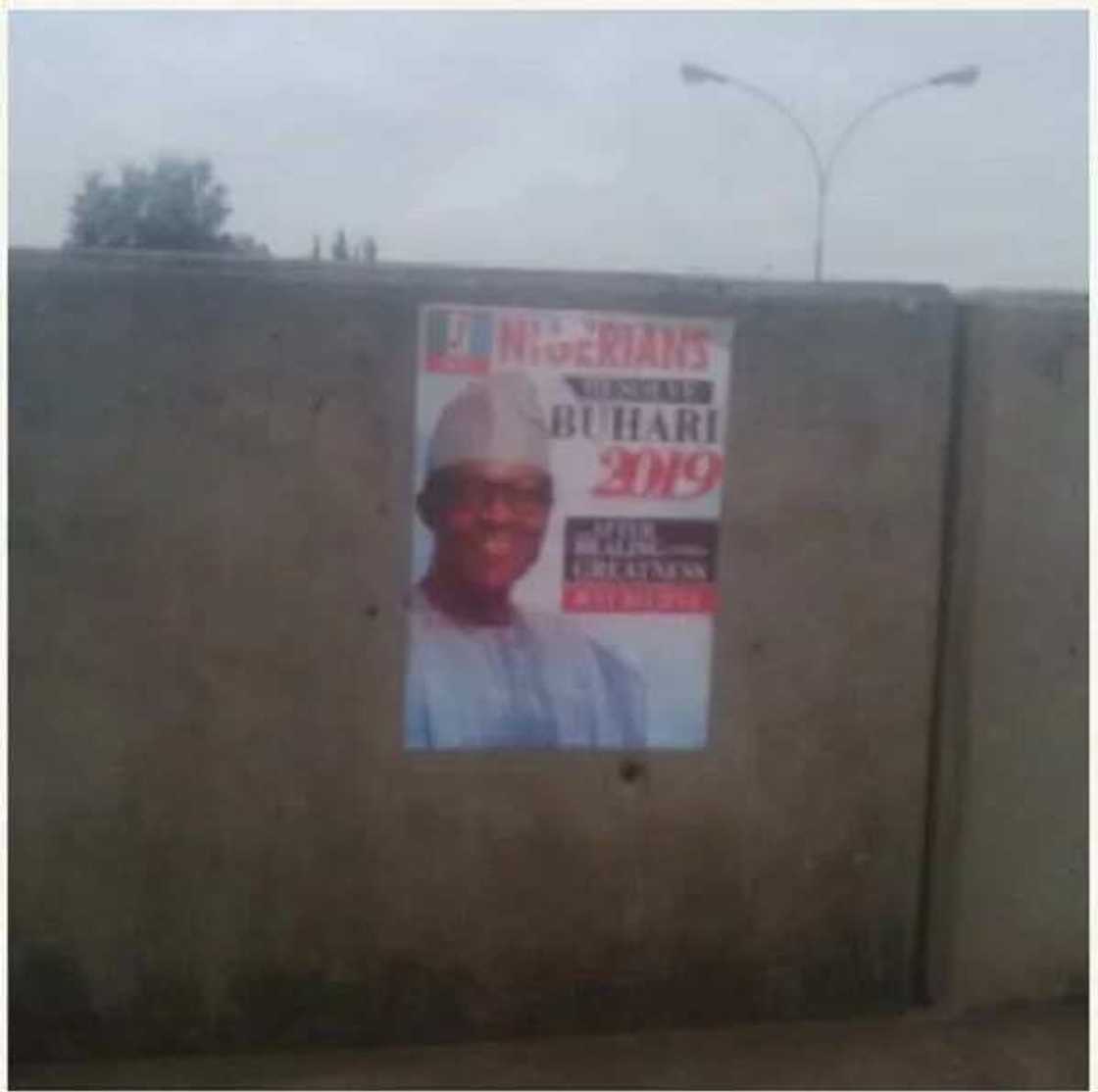 Buhari 2019 Posters Flood Abuja Streets