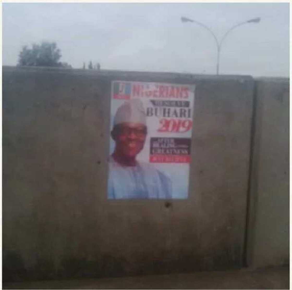 Buhari 2019 Posters Flood Abuja Streets Buhari 2019 Posters Flood Abuja Streets