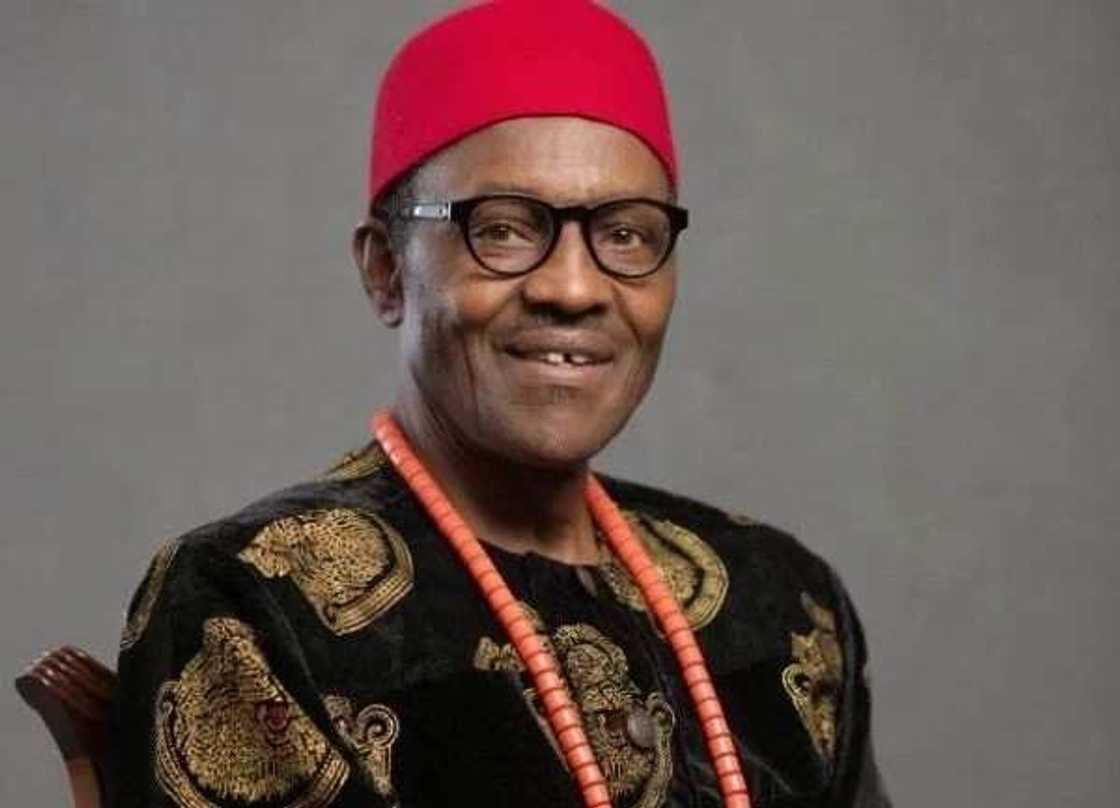 Opinion: The Igbos need Buhari to be alive Opinion: The Igbos need Buhari to be alive