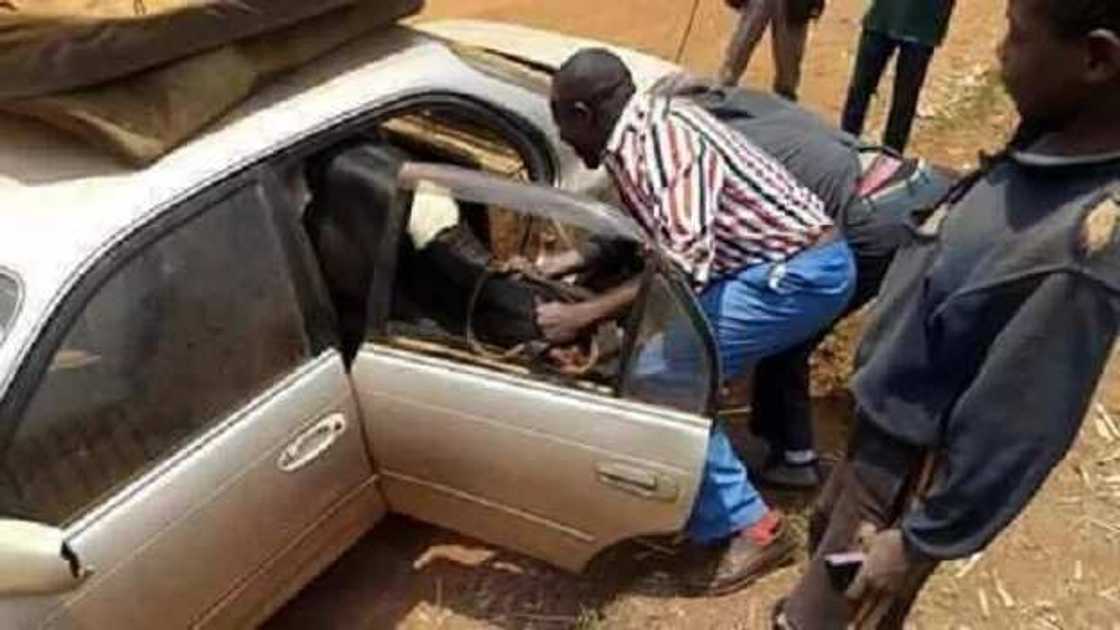 Ina hukumar kare hakkin dabbobi ta Najeriya? Ina hukumar kare hakkin dabbobi ta Najeriya?