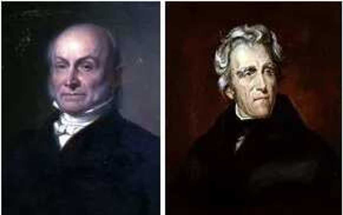 4 American presidents who won popular votes but lost election like Hillary Clinton 4 American presidents who won popular votes but lost election like Hillary Clinton