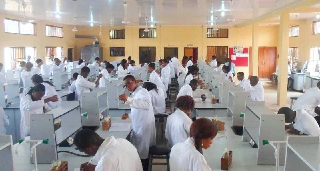 Wata cibiyar kimiyya a Najeriya ta hada maganin ciwon Ebola da Malariya