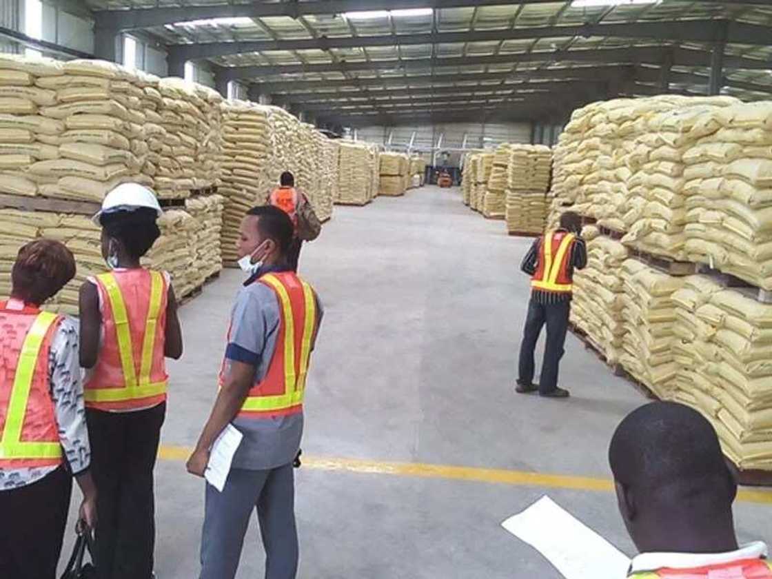 Olam Nigeria business Olam Nigeria business