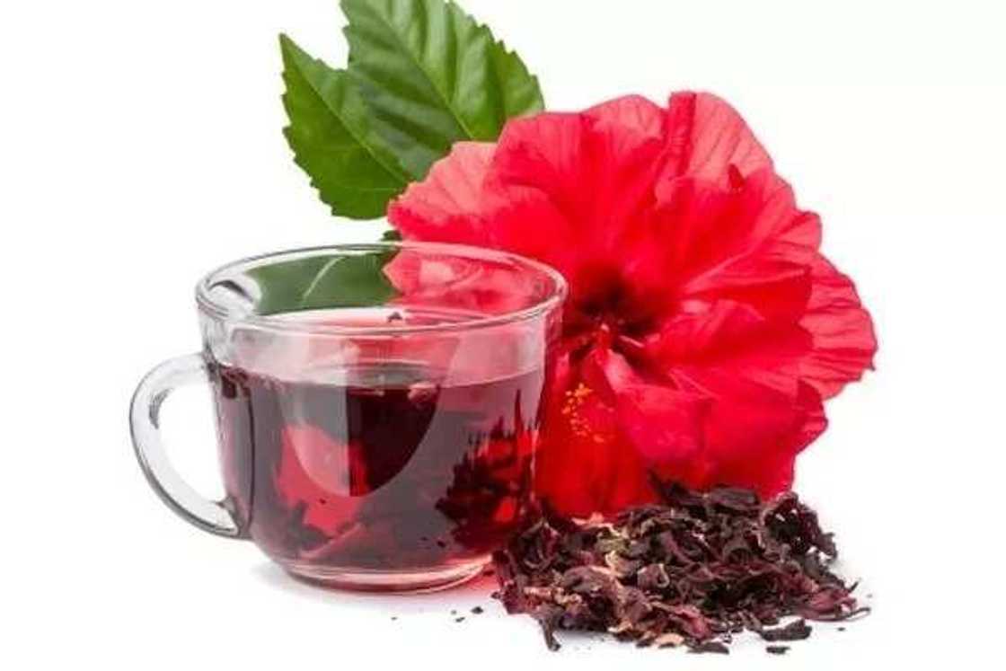 Zobo drink and menstruation Zobo drink and menstruation